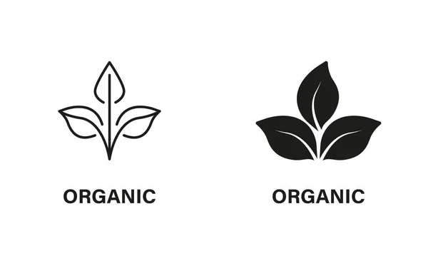 生物有机产品 生态食品标签 有机产品黑色图标集 天然生物健康生态食品系列和轮廓标志 孤立的病媒图解 — 图库矢量图片