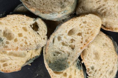 Siyah arka plandaki ekmek kalıpları. Küf tehlikesi, bayat ürünler.
