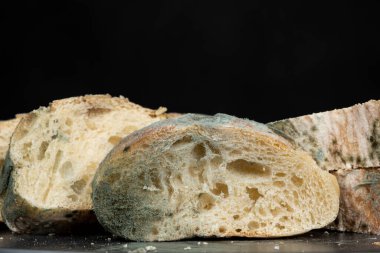 Siyah arka plandaki ekmek kalıpları. Küf tehlikesi, bayat ürünler.