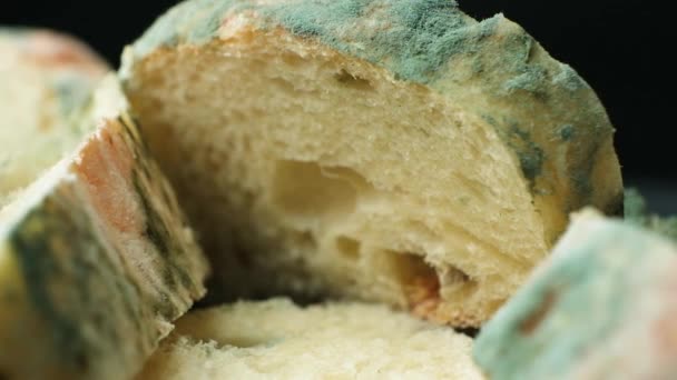 Bitar Skivade Mögliga Bröd Svart Bakgrund Risken För Att Äta — Stockvideo