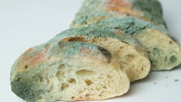 切片切碎的发霉的老面包 食物上的霉菌 — 图库视频影像