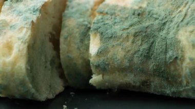 Siyah arka planda dilimlenmiş küflü ekmek parçaları, küf yeme tehlikesi.
