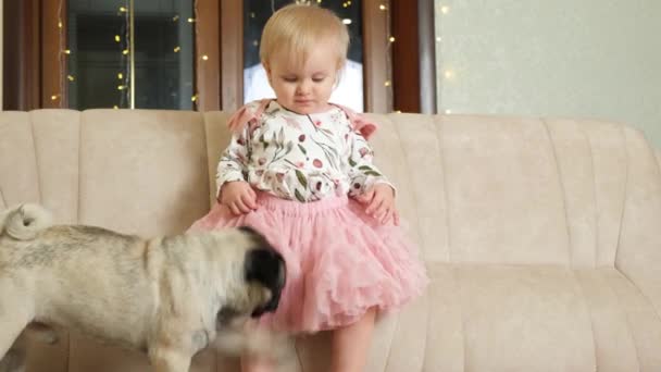 Забавный Мопс Играет Годовалой Девочкой Грызущей Розовую Юбку Дружба Собак — стоковое видео