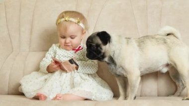 Sevimli küçük sarışın kız aynaya bakıyor. Evcil köpeği evdeki kanepede oturuyor..
