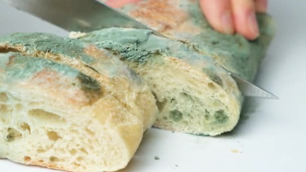 Skär Mögligt Bröd Med Kniv Mögel Mat Risken För Att — Stockvideo