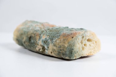 Beyaz arka plandaki ekmek kalıpları. Küf tehlikesi, bayat ürünler.