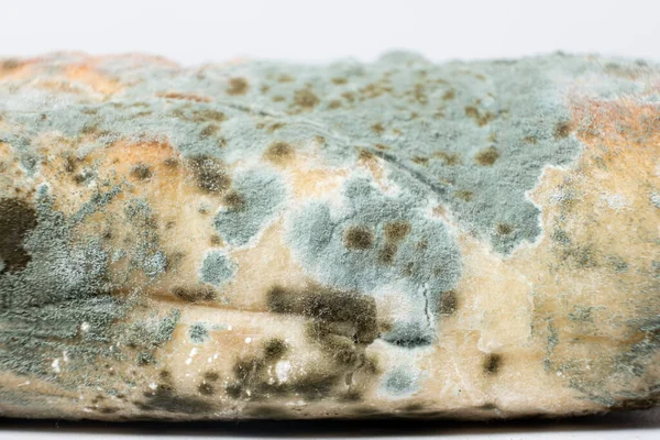 Mold on bread on a white background close-up. The danger of mold, stale products