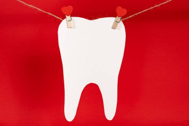 Dentistry and Valentine's Day - a large white tooth suspended on a string with clothespins with hearts on a red background, a place for text.