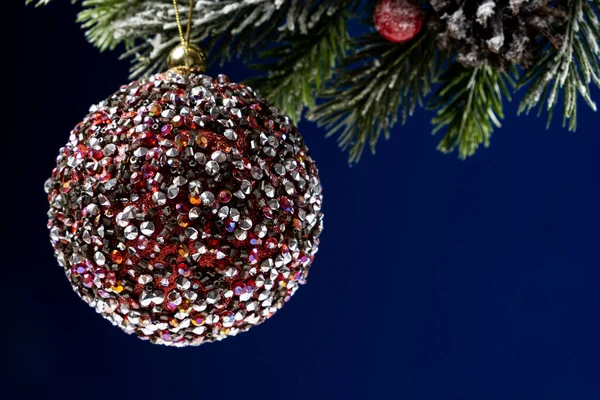 Lovely shiny red ball on a snow-covered branch of a Christmas tree, a card for the new year, a place for text, copy space.