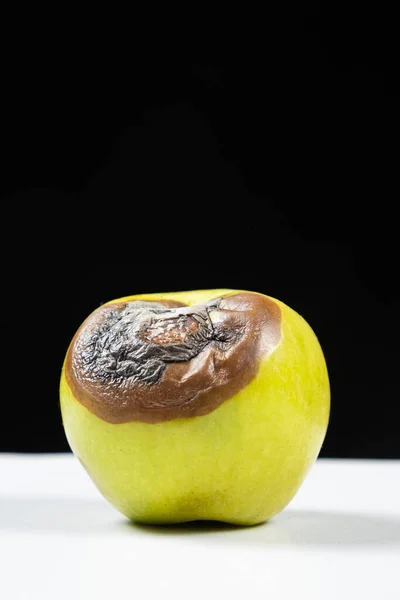 A rotten green apple on a black and white background. Rot on fruit, spoiled fruit.