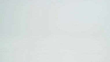 Easter quail chocolate eggs roll quickly across the white background. Easter Sale