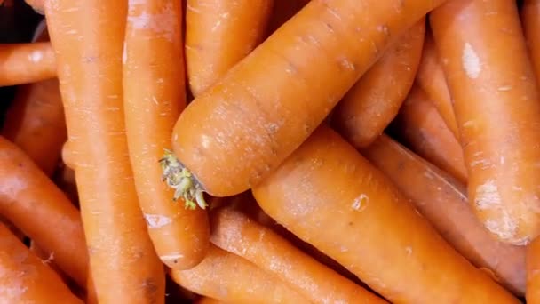 Lots Carrots Top View Benefits Carrots Washed Carrots Vitamin — Vídeos de Stock