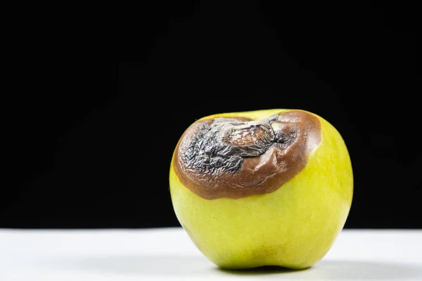 A rotten green apple on a black and white background. Rot on fruit, spoiled fruit.