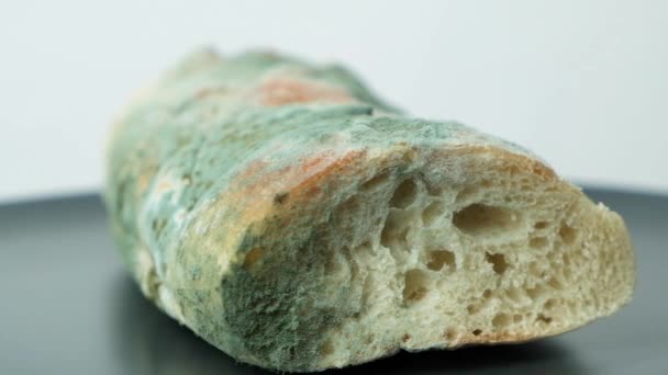Vorm Brood Een Witte Achtergrond Close Het Gevaar Van Schimmel — Stockvideo