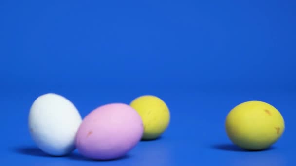 Пасхальные Перепелиные Шоколадные Яйца Быстро Катятся Синем Фоне Пасхальная Распродажа — стоковое видео