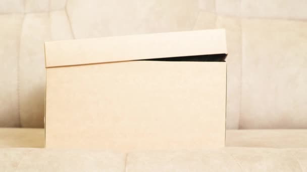 Lindo Gatito Negro Maine Coon Asoma Sale Caja Cartón — Vídeo de stock