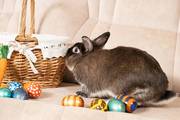 Ein Niedlicher Osterhase Sitzt Auf Einer Couch Mit Bemalten Eiern — Stockfoto
