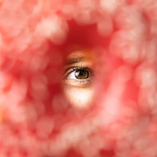 Peeping. A woman\'s brown eye looks into the camera through an oval hole.