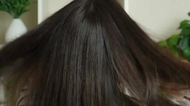 髪に触れるブルネットの女性 ストレートで 健康的で 天然色の染まっていない髪 ヘアケア — ストック動画