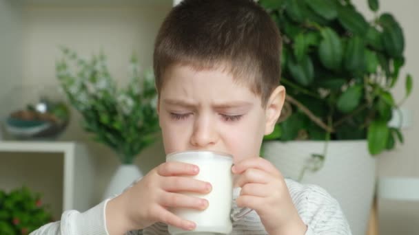 Letni Chłopiec Pije Kefir Lub Jogurt Produkty Mleczne Dla Dzieci — Wideo stockowe