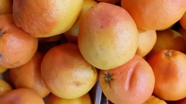 Veel Verschillende Gedeukte Grapefruits Supermarkt — Stockvideo