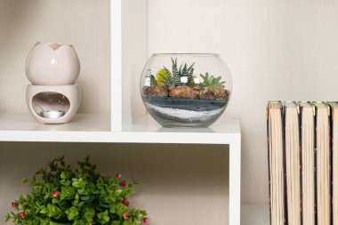 Floraryum iç kısımda. Raftaki cam vazoda sulu çiçekler..