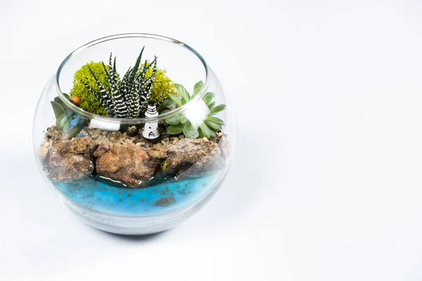 Florarium Glasvas Med Haworthia Pachyphytum Och Andra Suckulenter Nära Havet — Stockfoto