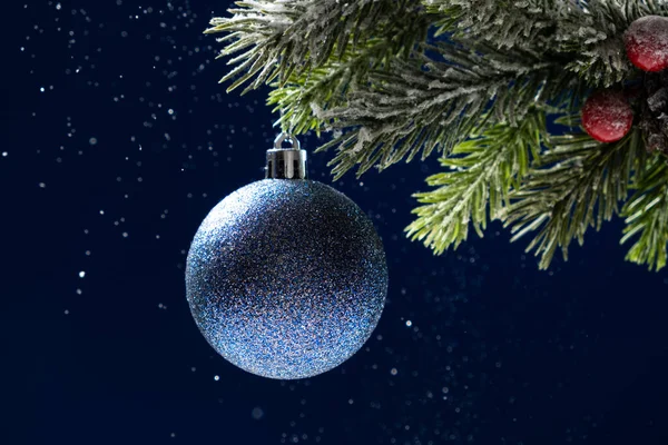 Χριστουγεννιάτικη Κάρτα Μια Μπλε Μπάλα Ένα Κλαδί Ερυθρελάτης Χιόνι Χιονόπτωση — Φωτογραφία Αρχείου