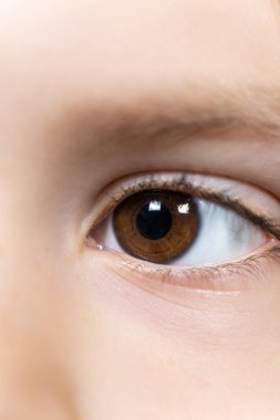 Makro kahverengi gözlü, 5 yaşında bir çocuk. Pediatrik göz doktoru.