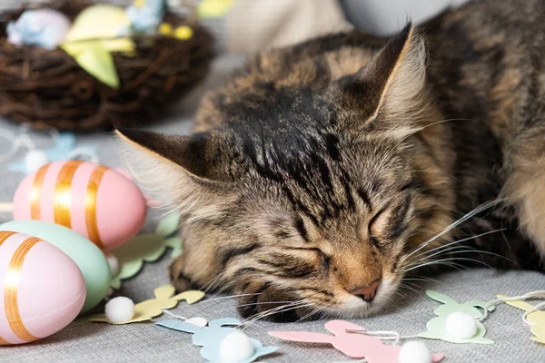 The Easter cat sleeps among a garland of rabbits and a basket of painted eggs.