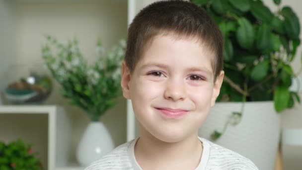 Porträt Eines Jährigen Brünetten Jungen Der Lächelt Und Blinzelt Während — Stockvideo