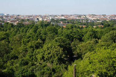 Viyana Avusturya manzarası, güzel kartpostal ormanı ve şehir.