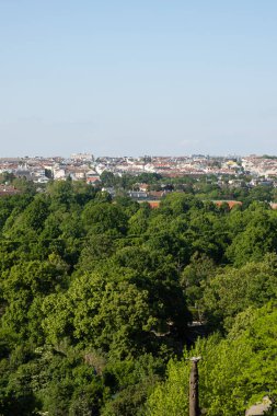 Viyana Avusturya manzarası, güzel kartpostal ormanı ve şehir.