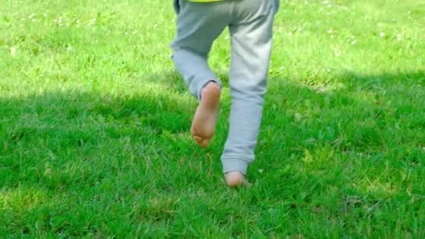 Una Niña Descalza Años Con Pantalones Grises Huye Distancia Hierba — Vídeo de stock