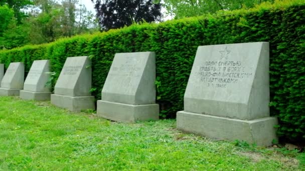 Centrale Begraafplaats Wenen Monumenten Voor Sovjet Soldaten Van Tweede Wereldoorlog — Stockvideo