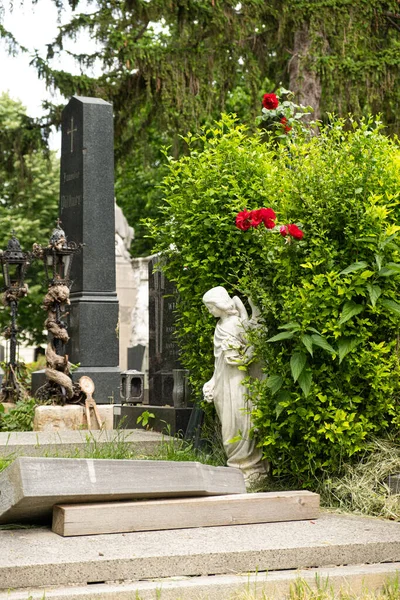 Червня 2023 Австрія Відень Могили Статуї Крипти Центральному Кладовищі — стокове фото