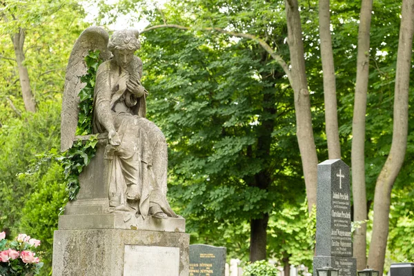 Июня 2023 Года Австрия Вена Могилы Статуи Склепы Центральном Кладбище — стоковое фото