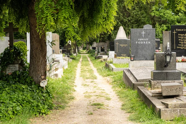 Haziran 2023 Avusturya Viyana Merkez Mezarlıkta Mezarlar Heykeller Mahzenler Var — Stok fotoğraf