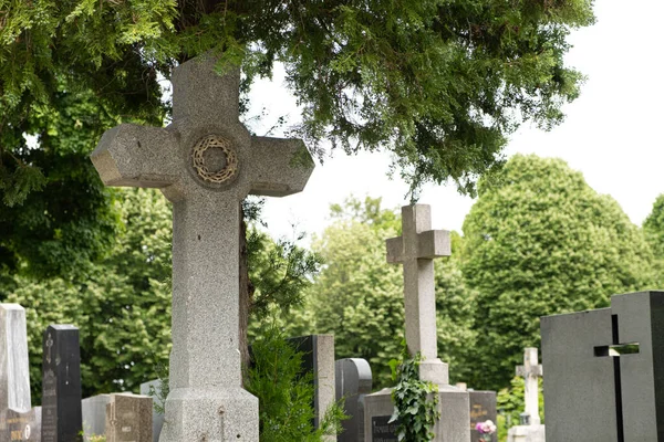 Cemitério Europa Muitas Cruzes Nas Sepulturas Entre Árvores — Fotografia de Stock