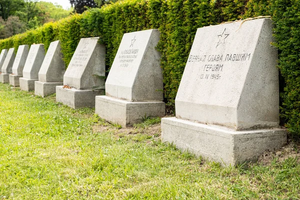 Viyana Daki Merkez Mezarlığı Kinci Dünya Savaşı Nın Sovyet Askerlerinin — Stok fotoğraf