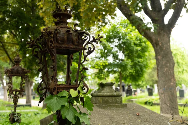 Старий Ліхтар Кладовищі Серед Заростей Рослин — стокове фото