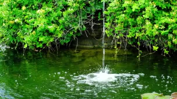 Zeitlupenaufnahmen Eines Kleinen Wasserfalls Auf Einem Teich — Stockvideo