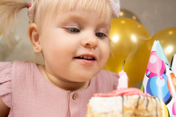 Two Year Old Girl Blows Out Candle Birthday Cake Makes Stock Photo