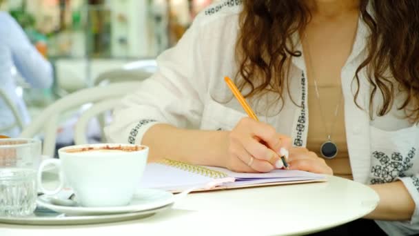 カフェに座ってノートにペンで書いている美しい若い女性 その日の計画 願い事リスト 生活日記 — ストック動画