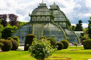 Greenhouse Palm House, Palmenhaus at Schonbrunn garden, historic glass building. May 15, 2023, Austria, Vienna