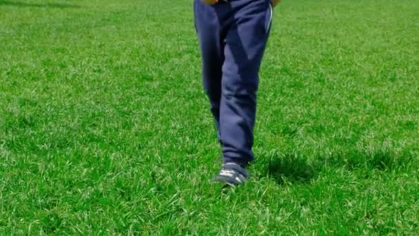 Lkbaharda Yeşil Çimenlerde Yürüyen Bir Çocuğun Bacakları — Stok video