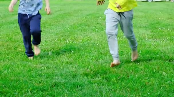 Küçük Bir Oğlan Bir Kız Çimlerin Üzerinde Yalınayak Koşuyorlar Çocukların — Stok video