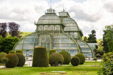 Greenhouse Palm House, Palmenhaus at Schonbrunn garden, historic glass building. May 15, 2023, Austria, Vienna