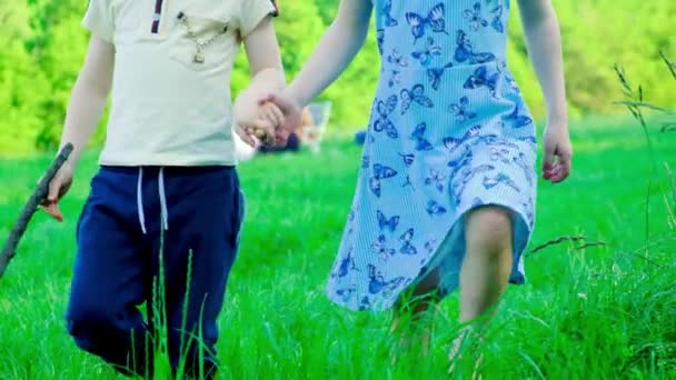 小さな男の子と女の子が草の上を裸足で歩いています 子供の友情と幸せな子供時代の概念 — ストック動画
