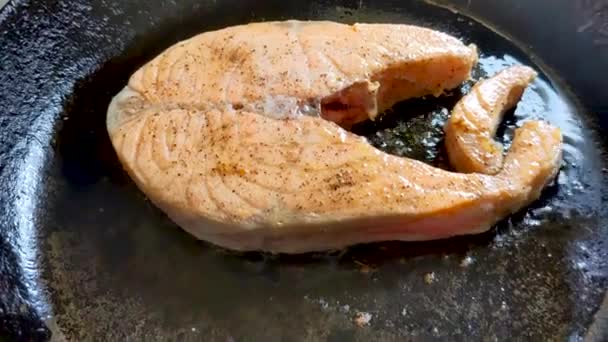 鋳鉄製のフライパンで揚げたサーモンステーキ トップビュー — ストック動画